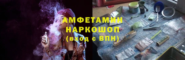 шишки Дмитров