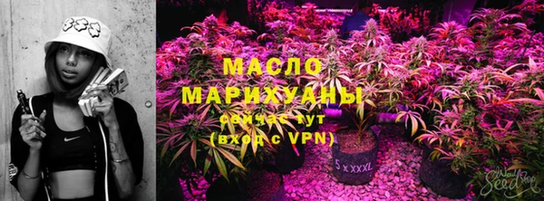 шишки Дмитров