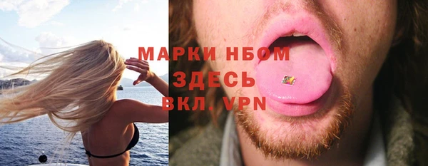 шишки Дмитров