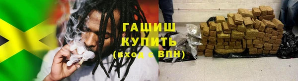 шишки Дмитров