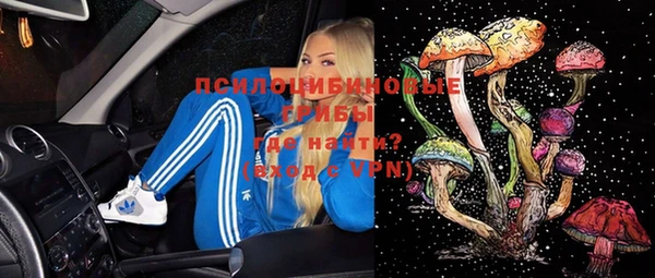 шишки Дмитров