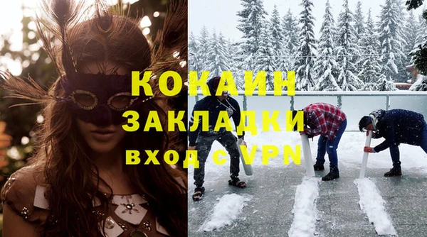 шишки Дмитров