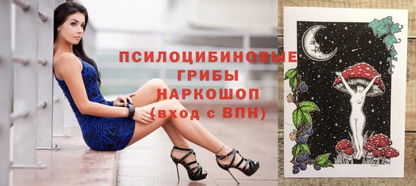шишки Дмитров