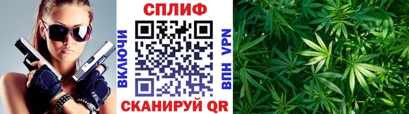 Купить закладки  Кувандык  Бошки марихуана планчик 
